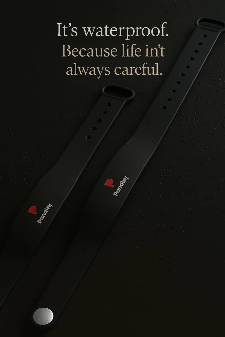 Pandley Smart Writsband